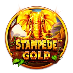 bingo card template how to bet on election